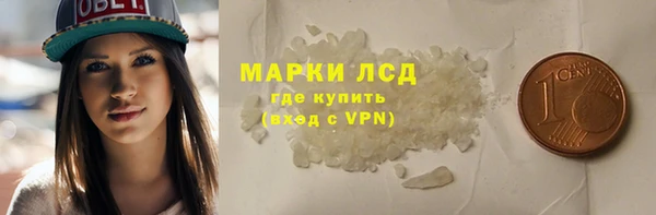прущие грибы Алзамай