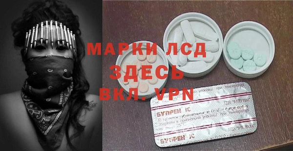 прущие грибы Алзамай