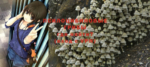 мяу мяу мука Абинск