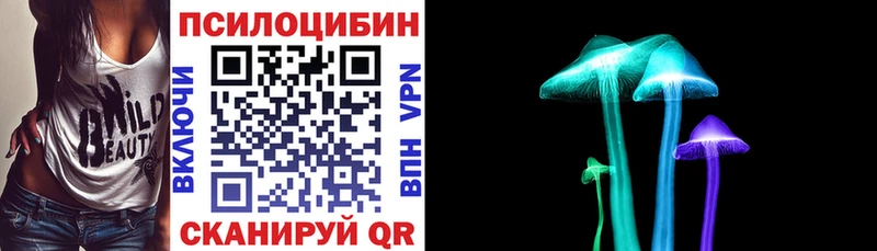 что такое наркотик Лосино-Петровский Галлюциногенные грибы Psilocybine cubensis